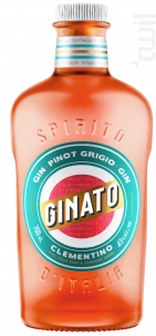 Gin Clémentino Orange Ginato Gin Italie Gin Aromatisé 43%
